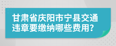 甘肃省庆阳市宁县交通违章要缴纳哪些费用？