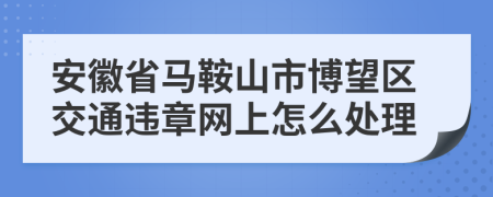 安徽省马鞍山市博望区交通违章网上怎么处理