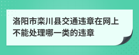 洛阳市栾川县交通违章在网上不能处理哪一类的违章