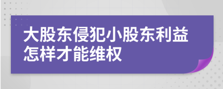 大股东侵犯小股东利益怎样才能维权