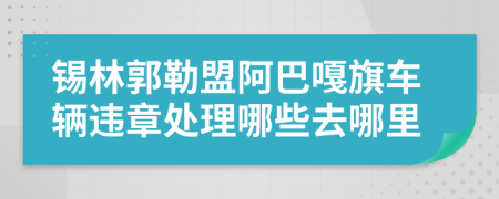 锡林郭勒盟阿巴嘎旗车辆违章处理哪些去哪里