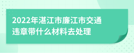 2022年湛江市廉江市交通违章带什么材料去处理