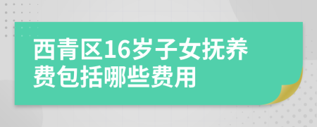 西青区16岁子女抚养费包括哪些费用