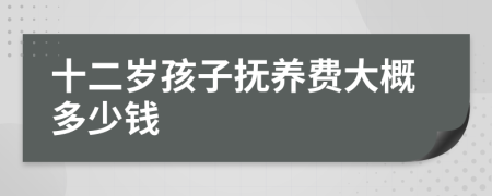 十二岁孩子抚养费大概多少钱