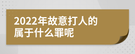 2022年故意打人的属于什么罪呢