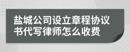 盐城公司设立章程协议书代写律师怎么收费