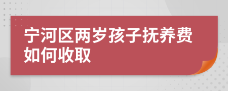 宁河区两岁孩子抚养费如何收取