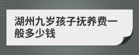 湖州九岁孩子抚养费一般多少钱