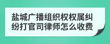 盐城广播组织权权属纠纷打官司律师怎么收费