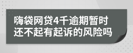 嗨袋网贷4千逾期暂时还不起有起诉的风险吗