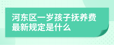 河东区一岁孩子抚养费最新规定是什么