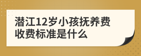 潜江12岁小孩抚养费收费标准是什么