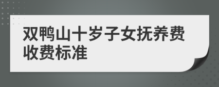 双鸭山十岁子女抚养费收费标准