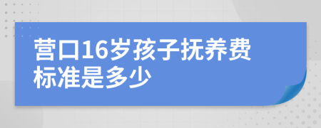 营口16岁孩子抚养费标准是多少