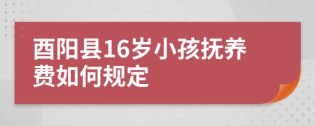 酉阳县16岁小孩抚养费如何规定