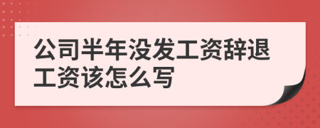 公司半年没发工资辞退工资该怎么写