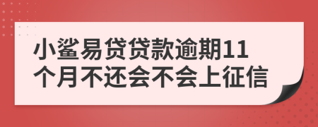 小鲨易贷贷款逾期11个月不还会不会上征信