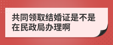 共同领取结婚证是不是在民政局办理啊