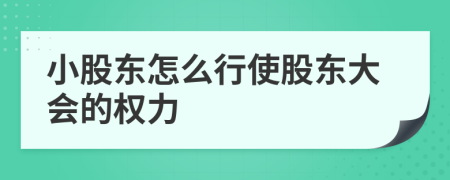 小股东怎么行使股东大会的权力