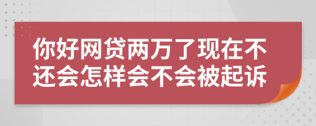 你好网贷两万了现在不还会怎样会不会被起诉