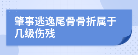 肇事逃逸尾骨骨折属于几级伤残