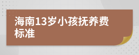 海南13岁小孩抚养费标准