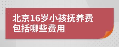 北京16岁小孩抚养费包括哪些费用