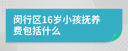 闵行区16岁小孩抚养费包括什么