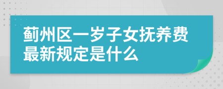 蓟州区一岁子女抚养费最新规定是什么