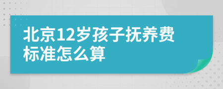 北京12岁孩子抚养费标准怎么算