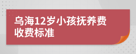 乌海12岁小孩抚养费收费标准