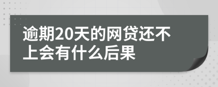 逾期20天的网贷还不上会有什么后果