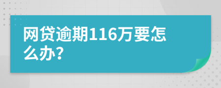 网贷逾期116万要怎么办？