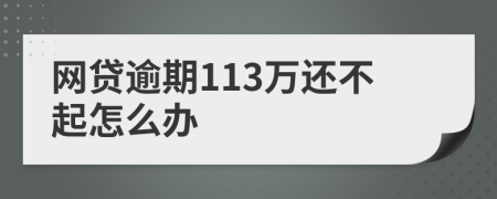 网贷逾期113万还不起怎么办