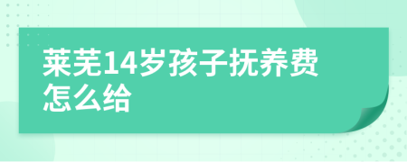 莱芜14岁孩子抚养费怎么给