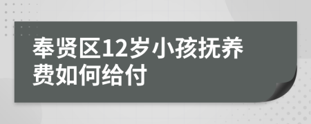 奉贤区12岁小孩抚养费如何给付