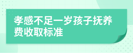 孝感不足一岁孩子抚养费收取标准