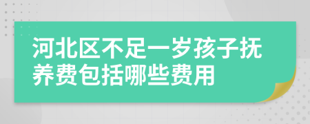 河北区不足一岁孩子抚养费包括哪些费用