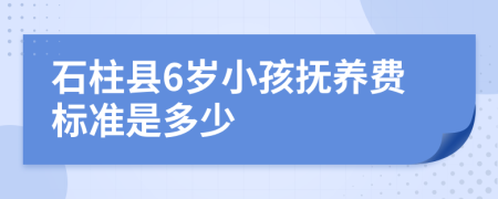 石柱县6岁小孩抚养费标准是多少