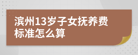 滨州13岁子女抚养费标准怎么算