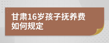 甘肃16岁孩子抚养费如何规定