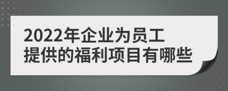 2022年企业为员工提供的福利项目有哪些