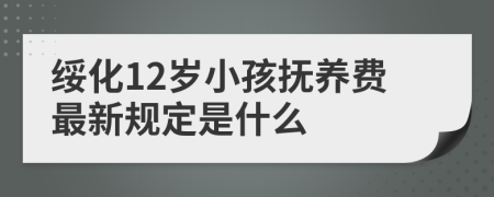 绥化12岁小孩抚养费最新规定是什么