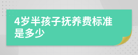 4岁半孩子抚养费标准是多少