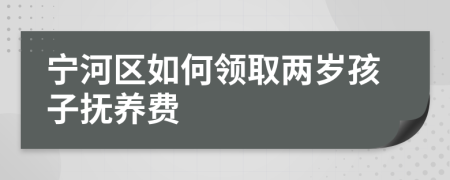 宁河区如何领取两岁孩子抚养费