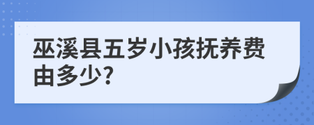 巫溪县五岁小孩抚养费由多少?