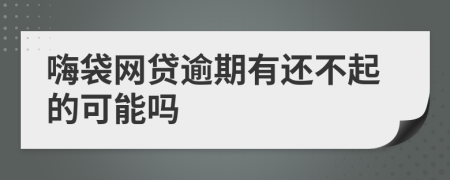 嗨袋网贷逾期有还不起的可能吗