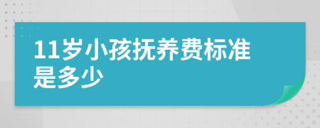 11岁小孩抚养费标准是多少