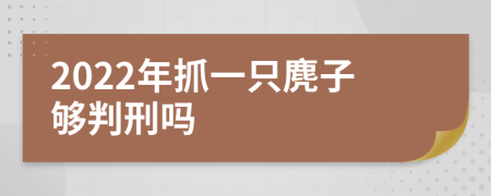 2022年抓一只麂子够判刑吗