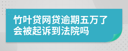 竹叶贷网贷逾期五万了会被起诉到法院吗